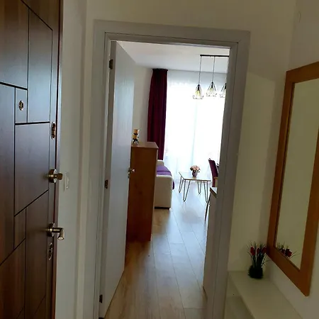 Old Sailor * オブゾー