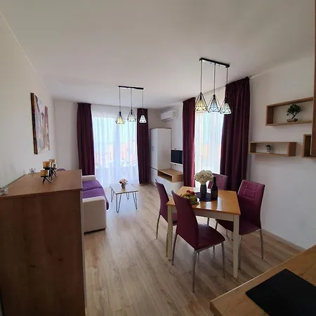 Old Sailor オブゾー